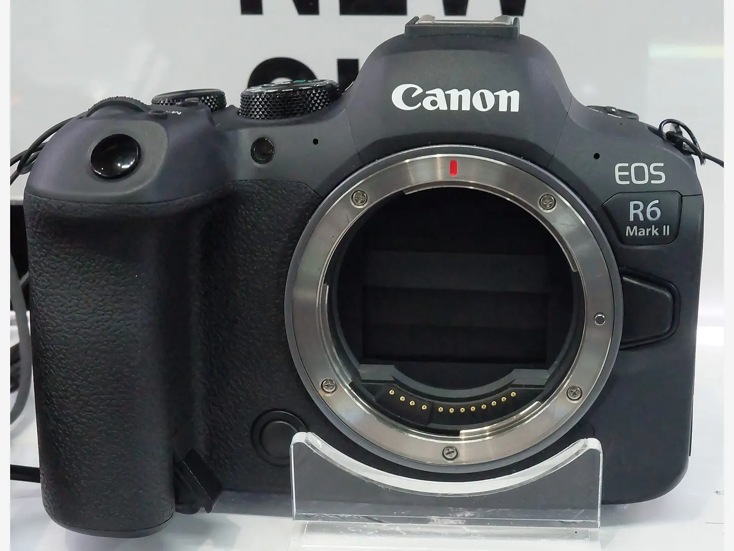 Canon EOS R6 Mark II ดำ มุมด้านหลัง